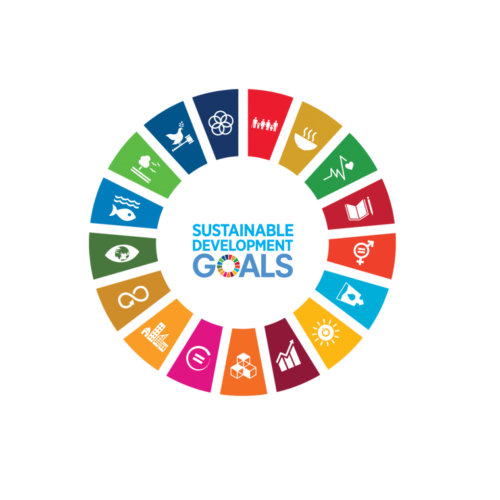Sustainable Development Goals of the United Nation